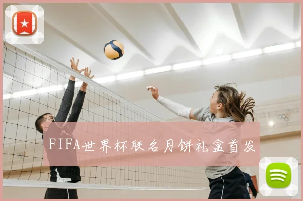 FIFA世界杯联名月饼礼盒首发