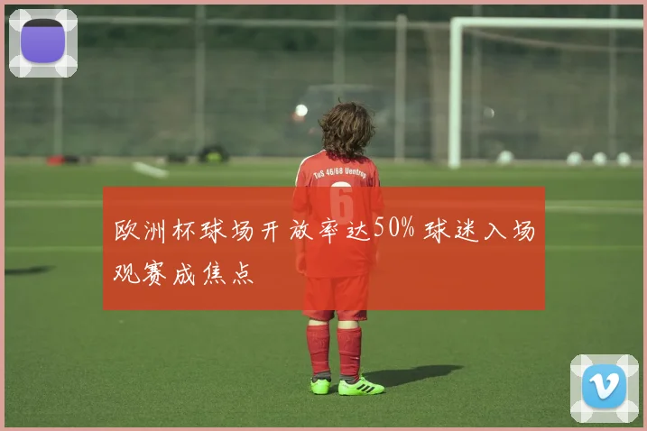 欧洲杯球场开放率达50% 球迷入场观赛成焦点