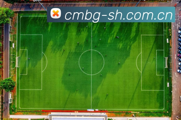 开云app官方在线登录入口 - 开云(中国)品牌故事